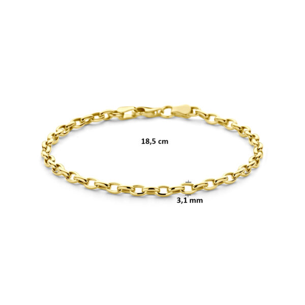 9k armband anker 3,1 mm 18,5 cm 9K geel kleurig - Afbeelding 3