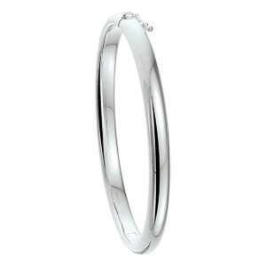 bangle scharnier bolle buis 6 x 60 mm zilver wit