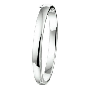 bangle scharnier bolle buis 7 x 60 mm zilver gerhodineerd