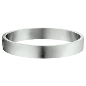 bangle scharnier massief mat 11,5 x 68 mm edelstaal