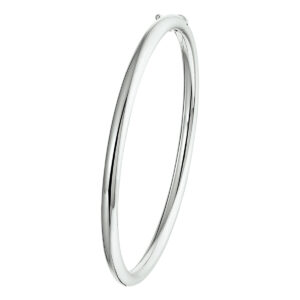 bangle scharnier ronde buis 4 x 60 mm zilver gerhodineerd