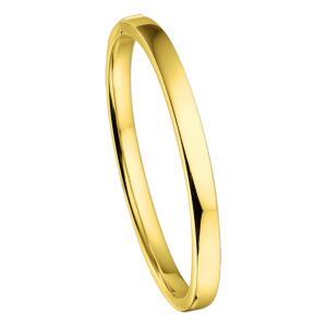 bangle scharnier vlakke buis 6 x 60 mm 14K geelgoud
