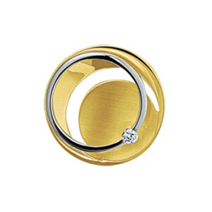 hanger diamant 0.03ct h si 14K bicolor goud geel/wit