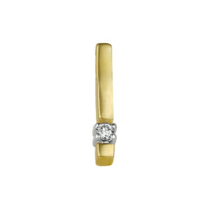 hanger diamant 0.05ct h p1 14K bicolor goud geel/wit