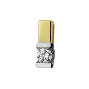hanger diamant 0.05ct h si 14K bicolor goud geel/wit