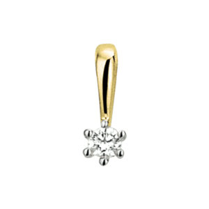 hanger diamant 0.05ct h si 14K bicolor goud geel/wit