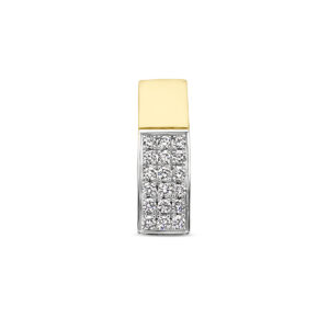 hanger diamant 0.07ct h si 14K bicolor goud geel/wit