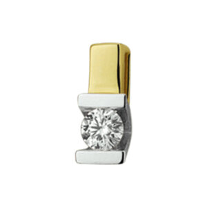 hanger diamant 0.10ct h si 14K bicolor goud geel/wit