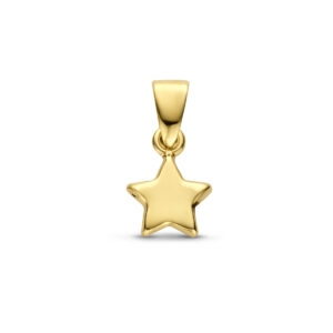 hanger ster 14K geelgoud