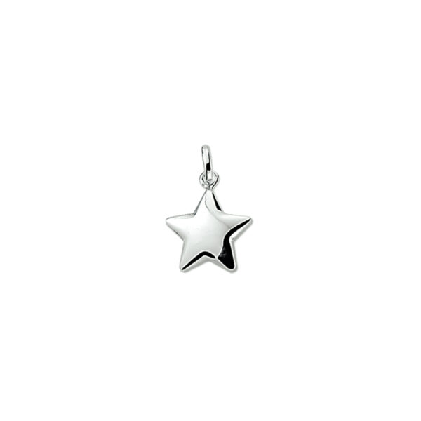 hanger ster zilver gerhodineerd