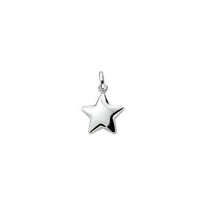 hanger ster zilver gerhodineerd