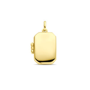 medaillon 21 mm 14K geelgoud