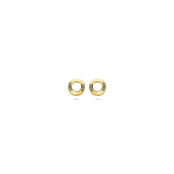 oorknoppen gediamanteerd 4,5 mm 14K geelgoud