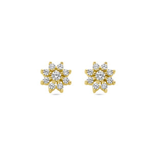 oorknoppen zirkonia halo 14K geelgoud
