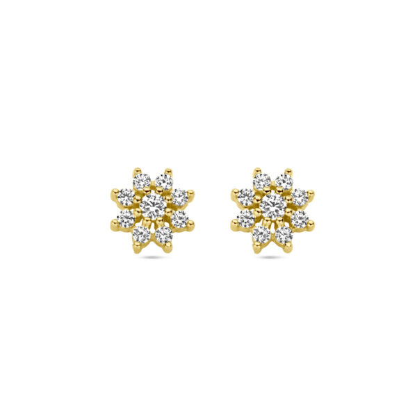 oorknoppen zirkonia halo 14K geelgoud