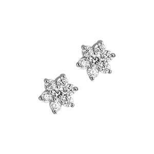 oorknoppen zirkonia halo 14K witgoud