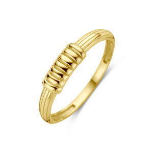 ring 14K geelgoud