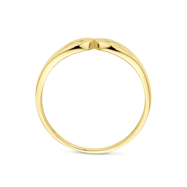 ring 14K geelgoud - Afbeelding 3