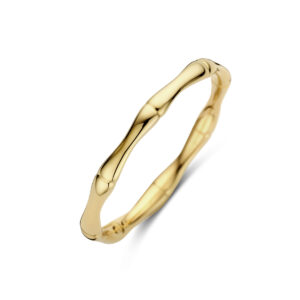 ring 14K geelgoud
