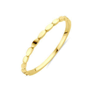ring 14K geelgoud