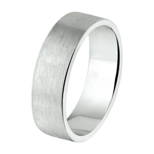 ring a110 - 6 mm - zonder cz zilver gerhodineerd