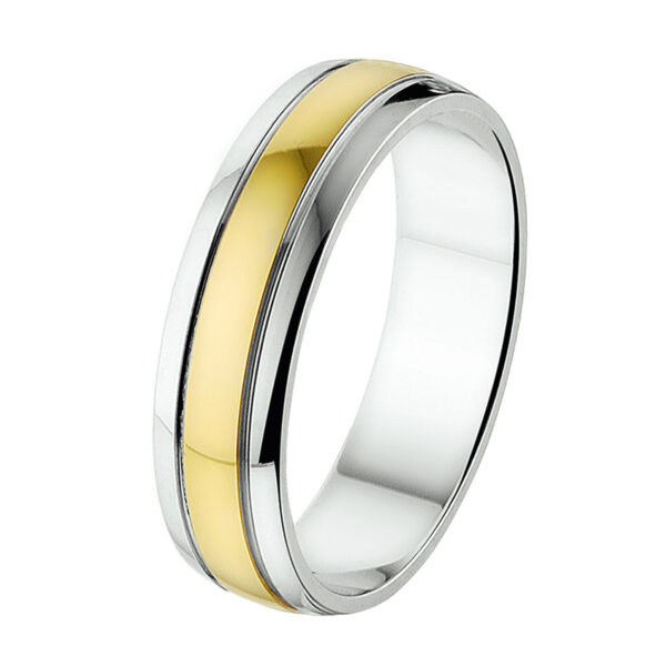 ring a419 - 5 mm - zonder steen 14K bicolor goud geel/wit
