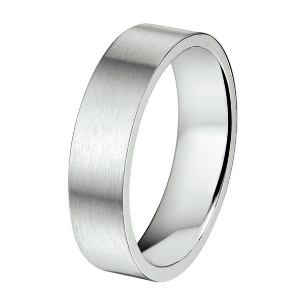 ring a508 - 6 mm - zonder cz edelstaal