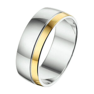 ring al747 - 6 mm - zonder steen goud met zilver