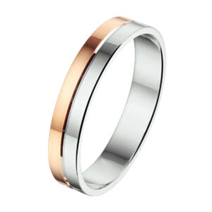 ring al748 - 4 mm - zonder steen goud met zilver