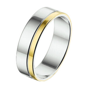 ring al755 - 5 mm - zonder steen goud met zilver