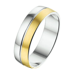 ring al760 - 6 mm - zonder steen goud met zilver