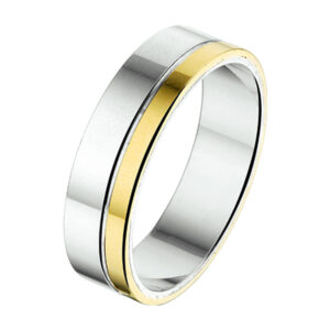 ring al762 - 6 mm - zonder steen goud met zilver