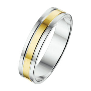 ring al766 - 5 mm - zonder steen goud met zilver