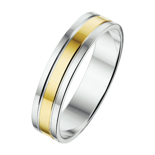 ring al766 - 5 mm - zonder steen goud met zilver