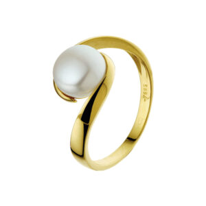 ring parel 14K geelgoud