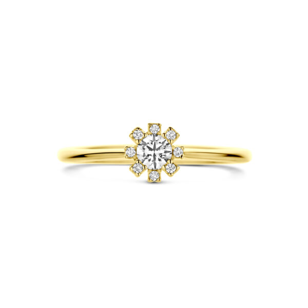 ring rozet zirkonia 14K geelgoud - Afbeelding 4