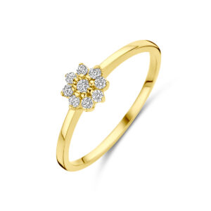 ring zirkonia 14K geelgoud