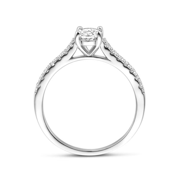 ring zirkonia zilver gerhodineerd - Afbeelding 3