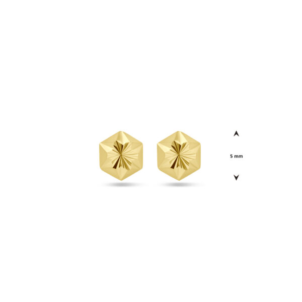 9k oorknoppen gediamanteerd 5 mm 9K geel kleurig - Afbeelding 4