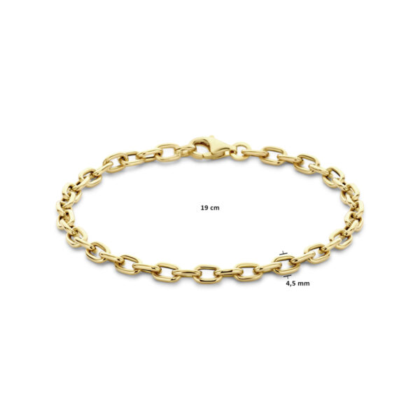 armband 4,5 mm 19 cm 14K geelgoud - Afbeelding 3