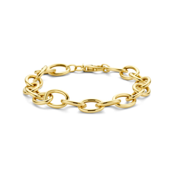 armband anker 10 mm 19 cm 14K geelgoud