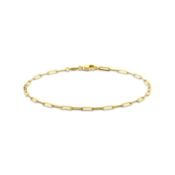 armband anker 2,1 mm 19 cm 14K geelgoud
