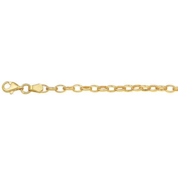 armband anker 3,1 mm 18,5 cm 14K geelgoud - Afbeelding 4