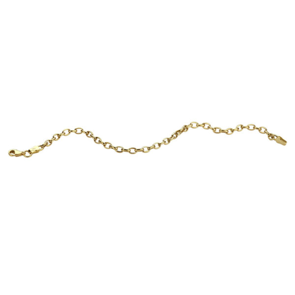 armband anker 3,1 mm 18,5 cm 14K geelgoud - Afbeelding 6