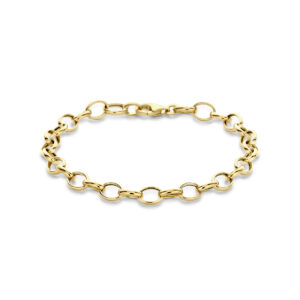 armband fantasie schakel 6,0 mm 19 cm 14K geelgoud