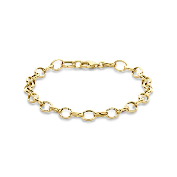 armband fantasie schakel 6,0 mm 19 cm 14K geelgoud
