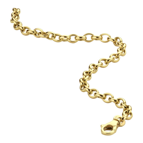 armband jasseron 4,3 mm 19 cm 14K geelgoud - Afbeelding 2