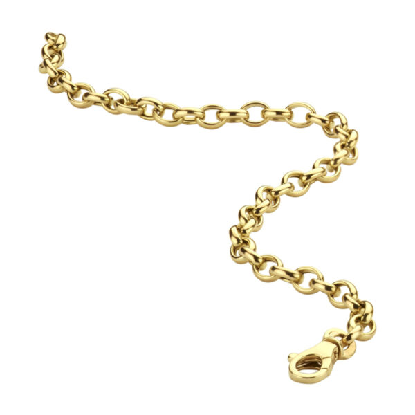 armband jasseron 4,3 mm 19 cm 14K geelgoud - Afbeelding 3