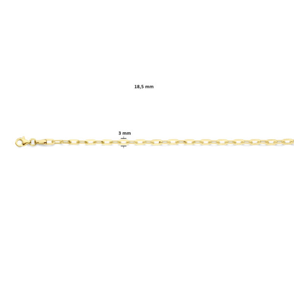 armband paperclip 3 mm 18,5 cm 14K geelgoud - Afbeelding 2
