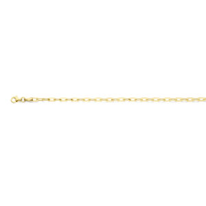 armband paperclip 3 mm 18,5 cm 14K geelgoud